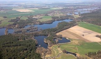 bird's-eye view of the forest and the pond