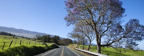 highway along a green field in Serra, Brazil