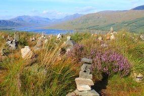 stones in the grass in the mountains of scotland