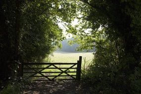gate among green bushes