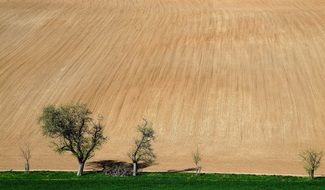 Arable Field Green