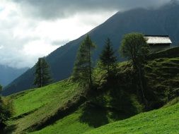 mountain hut on a green hill in Switzerland