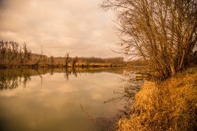 river in early spring