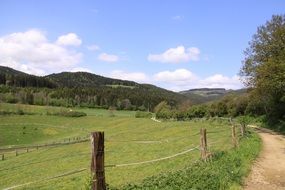 Landscape Meadow Summer
