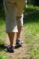photo of traveler's legs on a forest trail