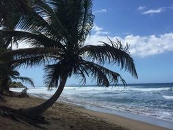 stormy sea on the tropic island