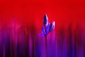 awesome Flower Plant on a bright colorful background