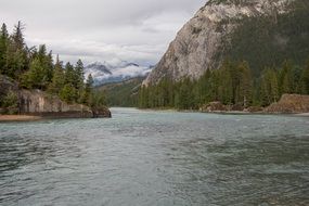 Beautiful Bow River among the green trees in Alberta, Canada