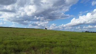 Beautiful landscape of the beautiful countryside