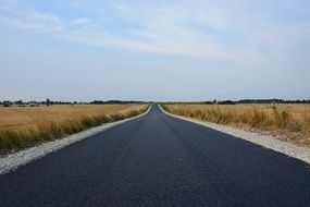 asphalt road among fields in poland