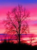 awesome Beautiful Sky