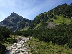 stone path in tatry poland mountains landscape