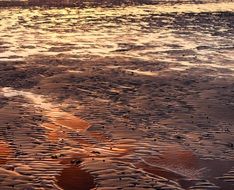 sand on the beach during sunset