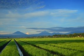Landscape Mountain Farm