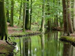 river in egestorffpark