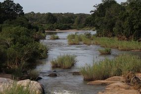 wild river in Africa