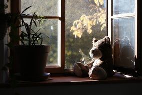 cute teddy on the windowsill