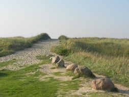 path to North sea in Denmark