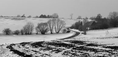 black and white photo of a field in winter