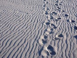 Steps on the beach