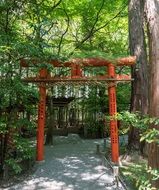 Beautiful red Torii gates in Arashiyama park in Japan