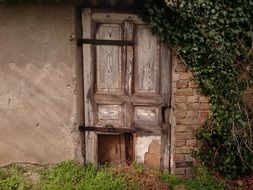 old barn in a green garden