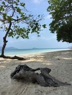 sandy beach on the shore of thailand