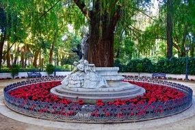 red vivid Flowers Display in Garden