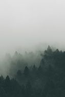 scenic foggy landscape