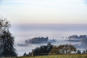 thick fog over a pasture on a farm