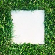 white sheet on a green lawn