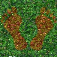 feet of red leaves