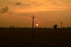 silhouettes of power lines at dusk