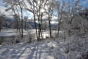 stunningly beautiful Winter