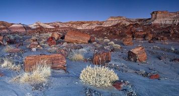 panorama of a petrified forest in arizona national park