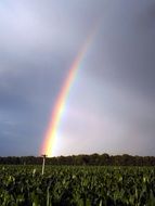 Rainbow Colors Storm