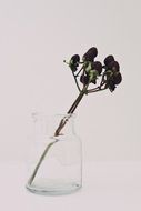 glass in the bottle