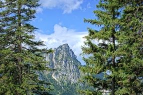 scenic landscape of mountain in upper bavaria on a sunny day