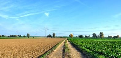 Agriculture Field Landscape