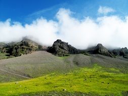 green valley among rocks in Iceland