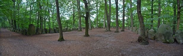 memorial in the forest of germany