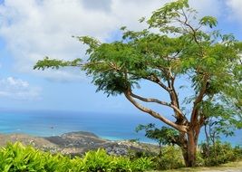 tropical panorama on the island of Saint Martin