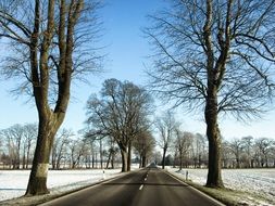 snow alley in Brandenburg