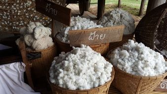 cotton in baskets for sale