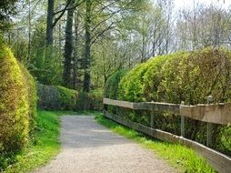 Spring Away Trees