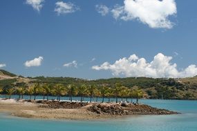 Landscape of the Palm trees on a island