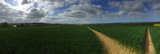 green spring field in Germany