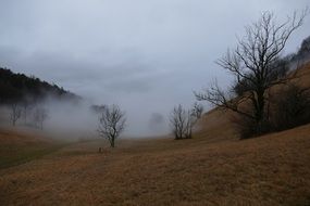 dense fog over the autumn hill