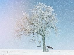 Beautiful landscape with the tree with the snow in winter