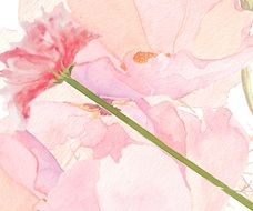 rose Flower elegant Floral painting